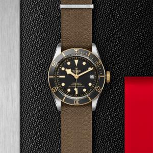 TUDOR Black Bay S&G thumb 1