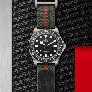 TUDOR Pelagos FXD thumb 1