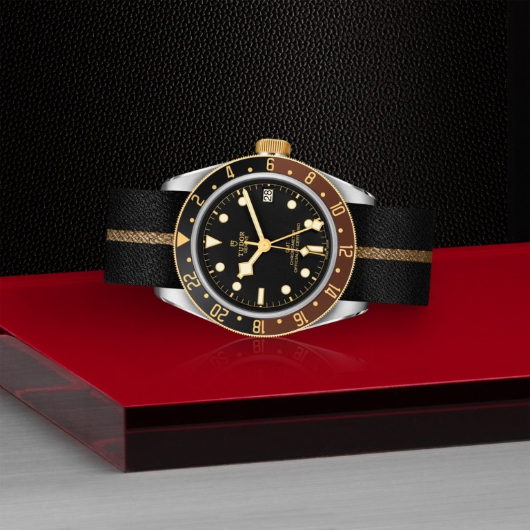 Black Bay GMT S&G slide 1