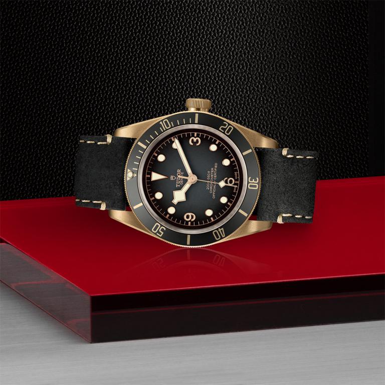 TUDOR Black Bay Bronze slide 1