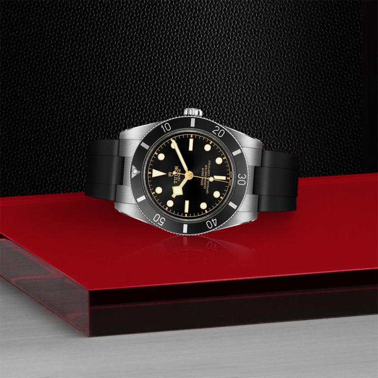 TUDOR Black Bay 54 slide 1