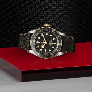 TUDOR Black Bay S&G thumb 1