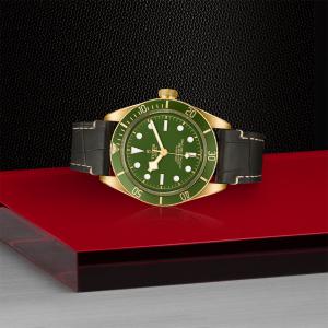 TUDOR Black Bay 58 18k thumb 1