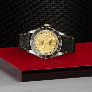 TUDOR Black Bay S&G thumb 1
