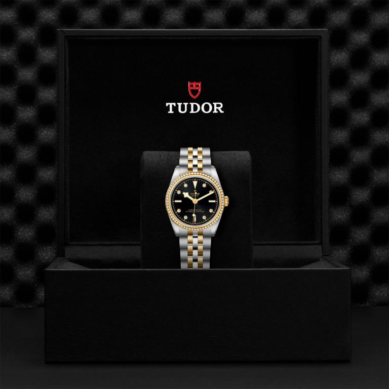TUDOR Black Bay 31 S&G slide 1