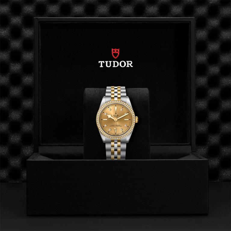 TUDOR Black Bay 36 S&G slide 1