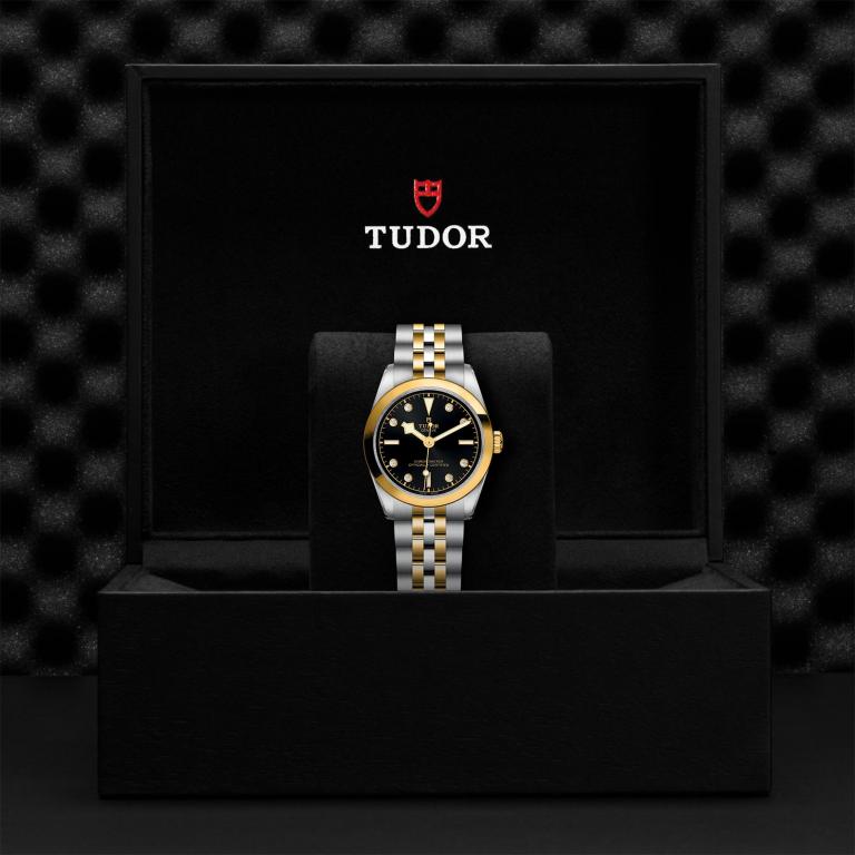 TUDOR Black Bay 31 S&G slide 1