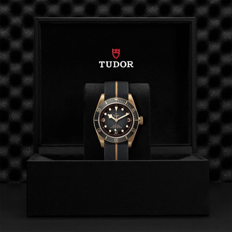 TUDOR Black Bay Bronze slide 1