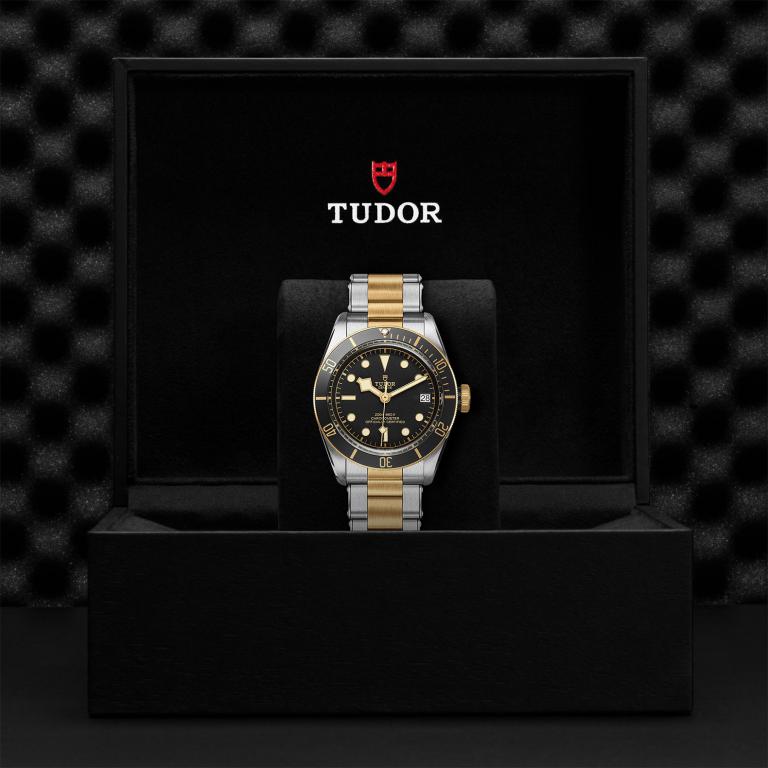 TUDOR Black Bay S&G slide 1