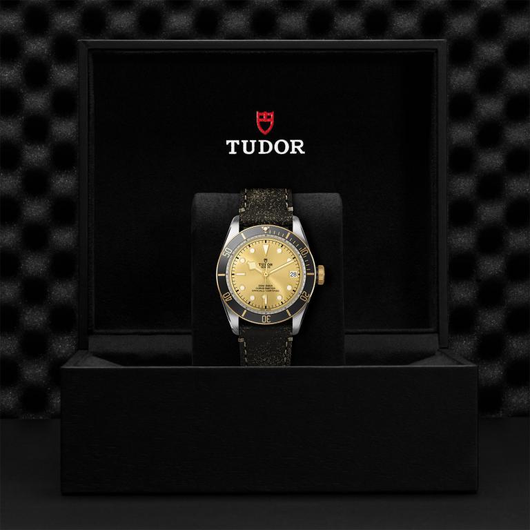 TUDOR Black Bay S&G slide 1