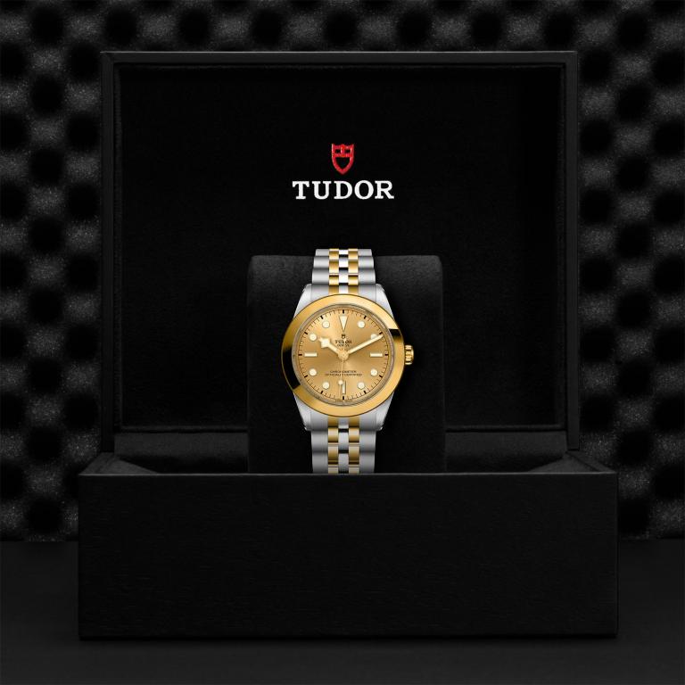 TUDOR Black Bay 39 S&G slide 1
