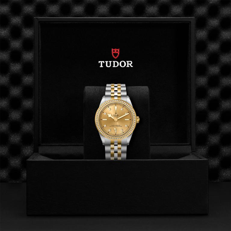 TUDOR Black Bay 39 S&G slide 1