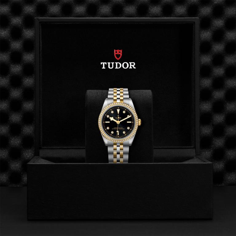TUDOR Black Bay 36 S&G slide 1