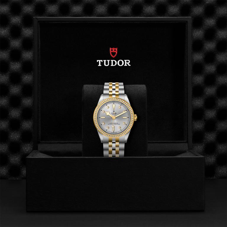 TUDOR Black Bay 39 S&G slide 1
