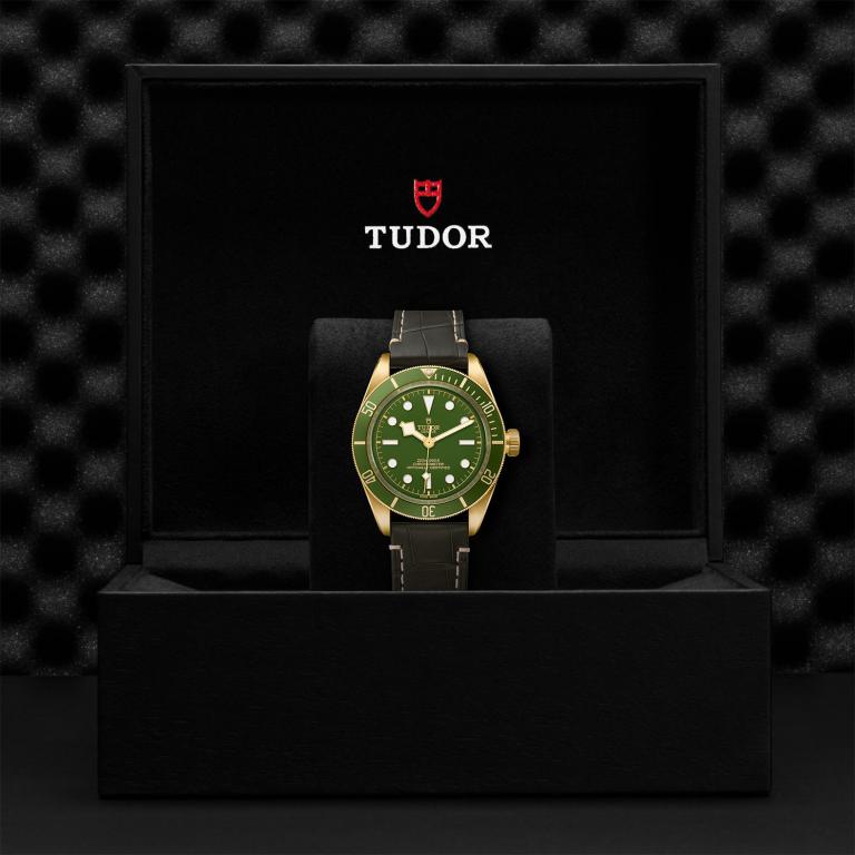 TUDOR Black Bay 58 18k slide 1