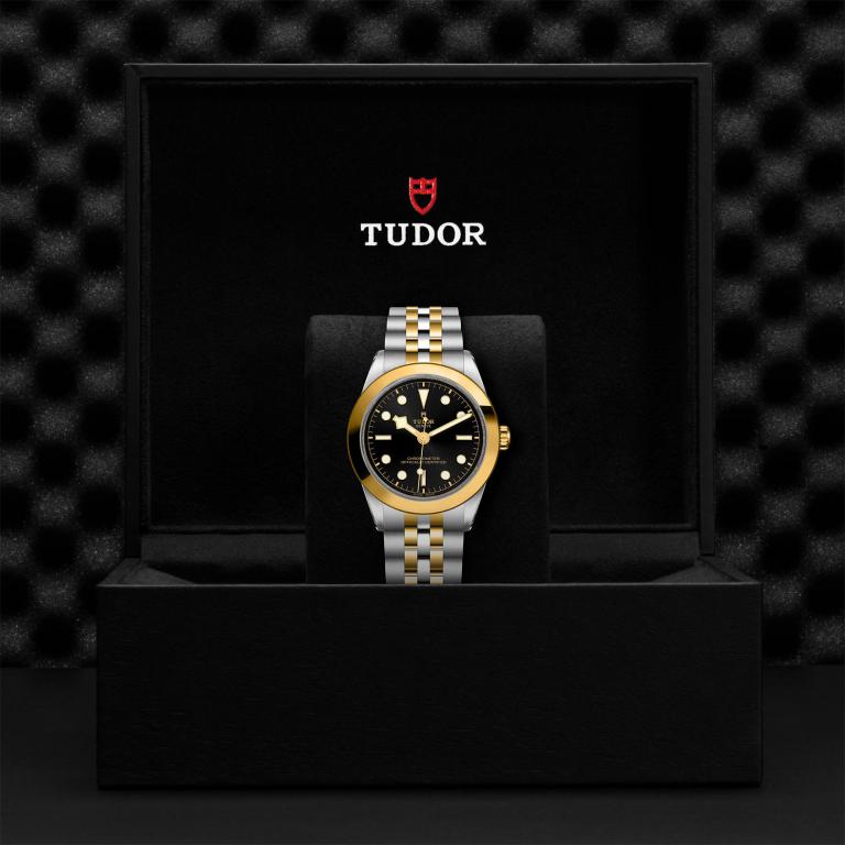 TUDOR Black Bay 39 S&G slide 1