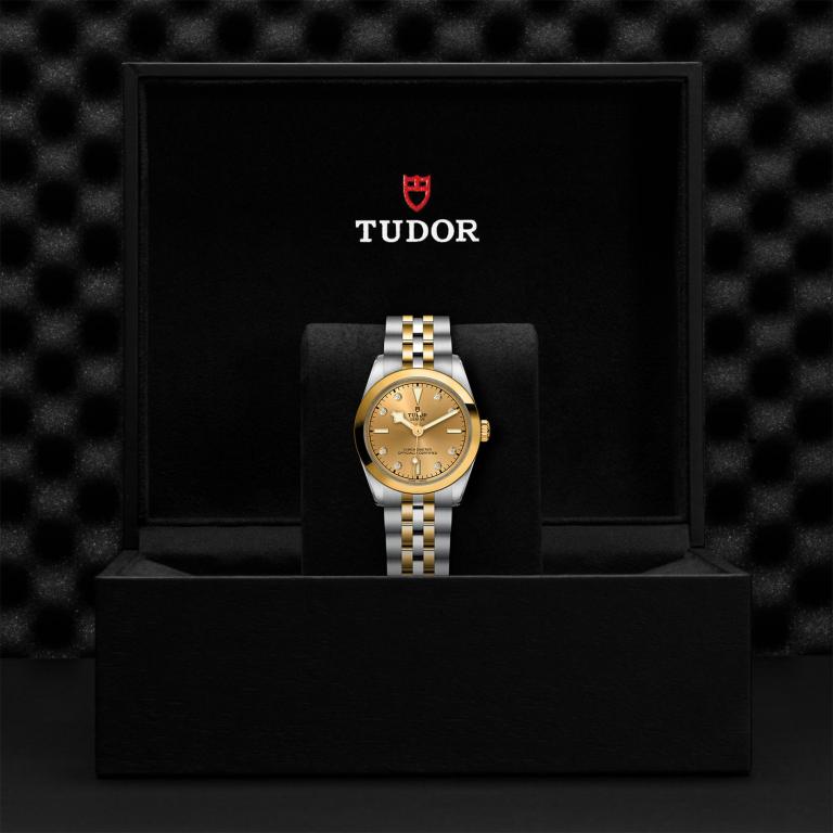 TUDOR Black Bay 31 S&G slide 1