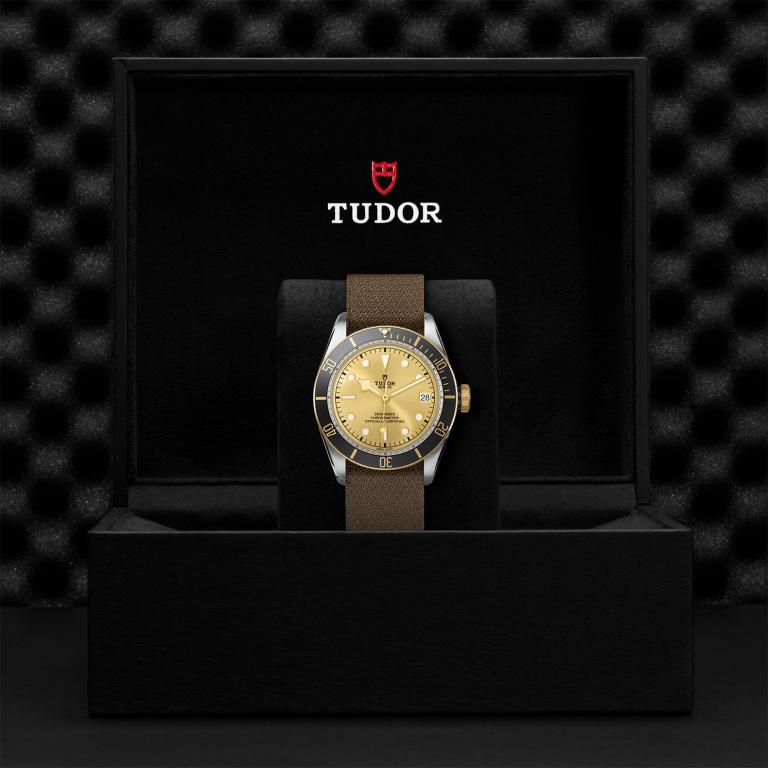 TUDOR Black Bay S&G slide 1