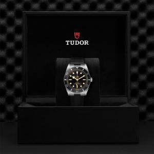 TUDOR Black Bay 54 thumb 1