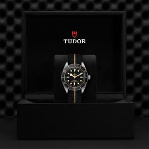 TUDOR Black Bay 58 thumb 1