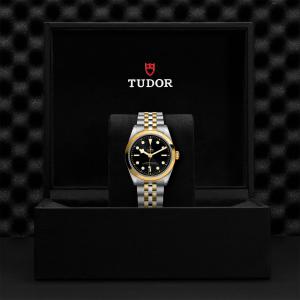 TUDOR Black Bay 36 S&G thumb 1
