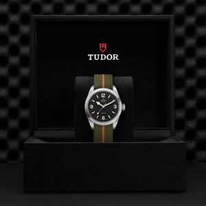 TUDOR Ranger thumb 1