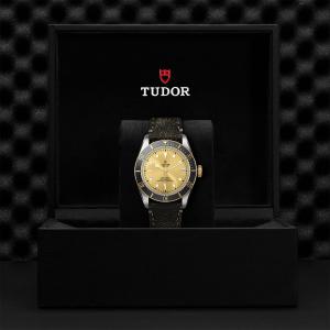 TUDOR Black Bay S&G thumb 1