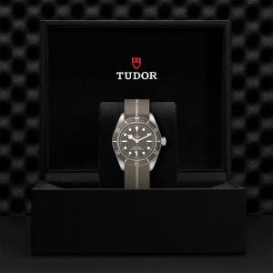 TUDOR Black Bay 58 925 thumb 1