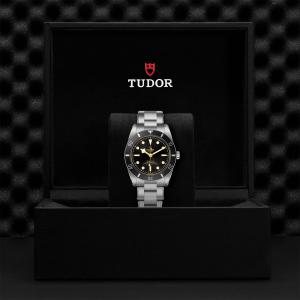 TUDOR Black Bay 54 thumb 1