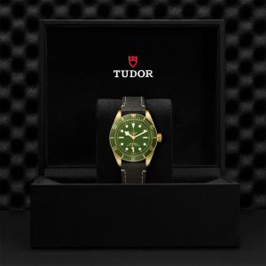 TUDOR Black Bay 58 18k thumb 1