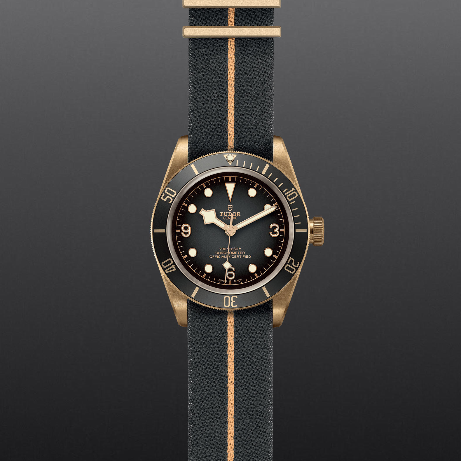 TUDOR Black Bay Bronze