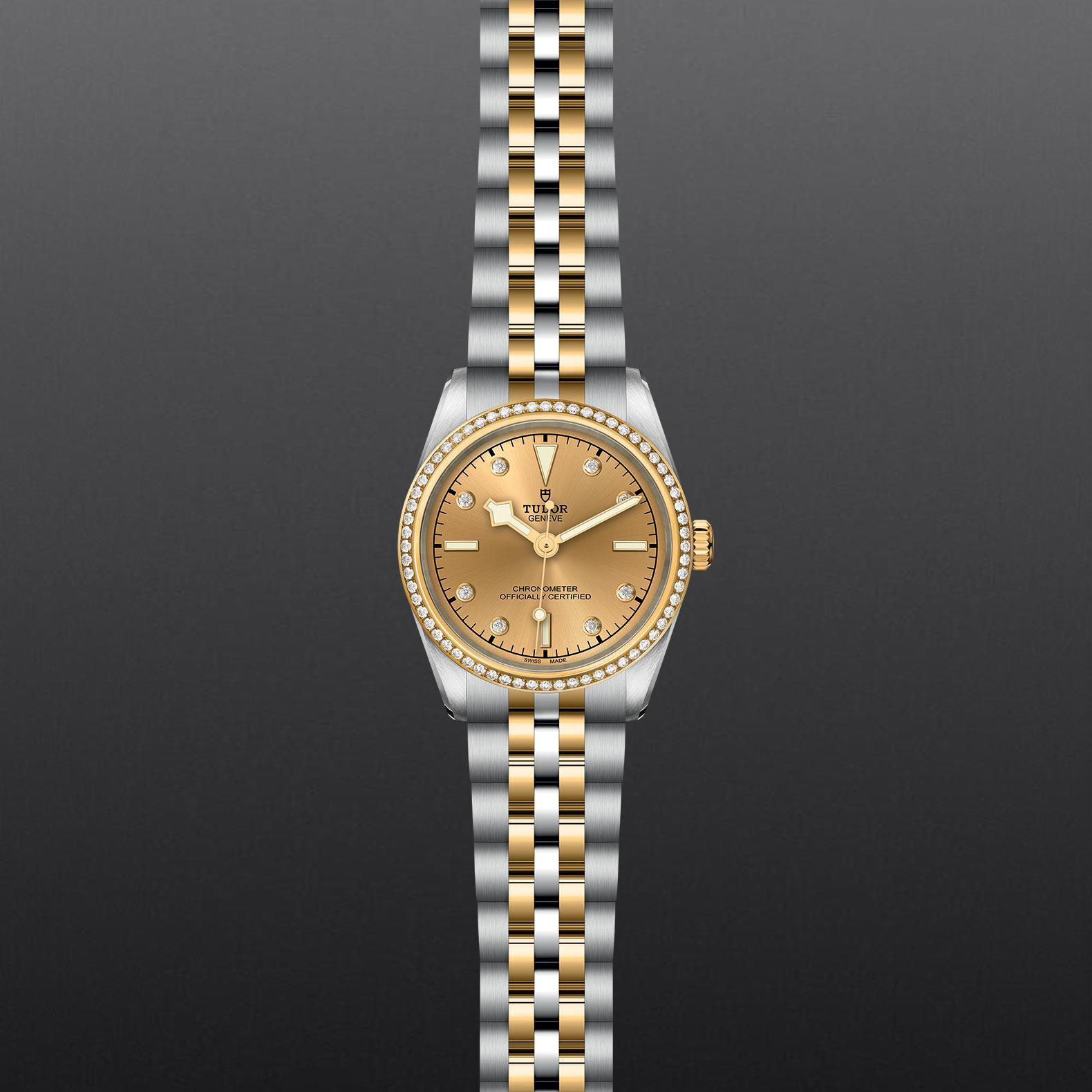 TUDOR Black Bay 31 S&G