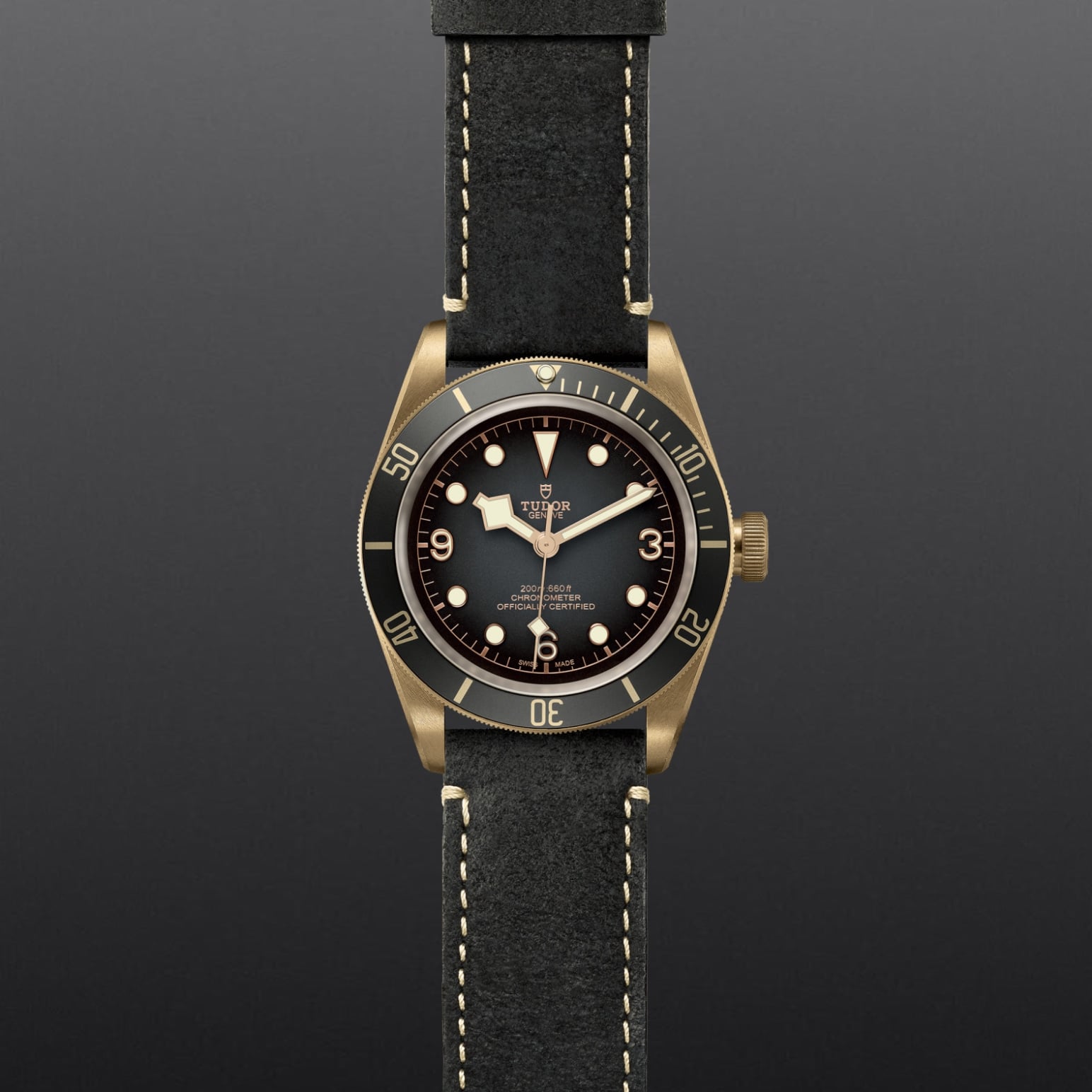 Black Bay Bronze